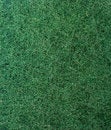 Free Texture. Sponge. Royalty Free Stock Image - 4347266