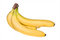 Free Bunch Of Bananas Isolated Royalty Free Stock Photos - 4340798