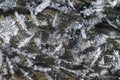 Free Glacial Royalty Free Stock Photos - 4354458