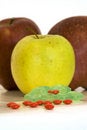 Free Drugs Or Healthy Food Stock Photos - 4355533