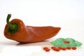 Free Drugs Or Healthy Food Royalty Free Stock Image - 4355566