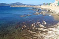 Free Sea Near Alghero Royalty Free Stock Image - 4358096