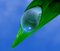 Free Dew On A Leaf Royalty Free Stock Photos - 4354218