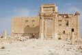 Free Palmyra Royalty Free Stock Photo - 4362105