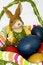 Free Easter Royalty Free Stock Photos - 4362818