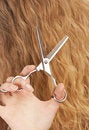 Free Professional Scissors Royalty Free Stock Photos - 4370608