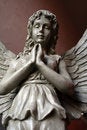 Free Angel Statue 4 Stock Photo - 4374970