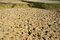 Free Dry Land Stock Photography - 4374132