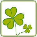 Free St. Patrick S Day Stock Photography - 4383622