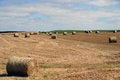 Free Bails Of Hay In The Fields Stock Image - 4387601