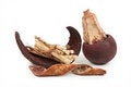 Free Immortelles Aromatic Royalty Free Stock Photo - 4387605