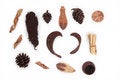 Free Group Of Immorteles Aromatic Stock Photography - 4387612