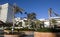 Free Windy Resort Palm Trees Royalty Free Stock Photo - 4380865