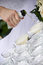 Free Champagne Toast - Wedding Royalty Free Stock Image - 4382166