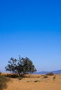 Free Morocco Royalty Free Stock Photo - 4394515