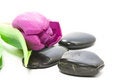 Free Wellness Stock Photo - 4398260