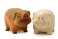 Free Pigs Stock Image - 441581
