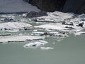 Free Glacial Bobbing Stock Images - 442054