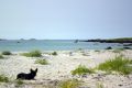 Free Like A Sunny Beach In Crete, But Not Royalty Free Stock Photography - 444327