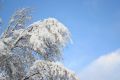 Free White Snow And Blue Sky Stock Images - 444454