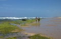 Free Two Ladies On Beach Royalty Free Stock Photography - 444957