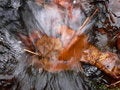 Free Fall Rush Stock Images - 447244