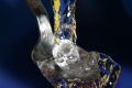Free Macro Of Water Flow Stock Image - 447581