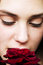 Free Biting A Rose Royalty Free Stock Photography - 441717