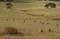Free Haystacks Royalty Free Stock Photography - 444547