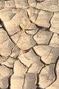 Free Abstract Arid Stock Photography - 4407202