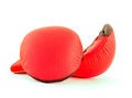 Free Fit-boxing Gloves Royalty Free Stock Images - 4410229