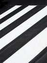 Free Stripes Stock Photography - 4420872