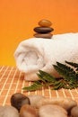 Free Spa Treatment Products Royalty Free Stock Photos - 4423098
