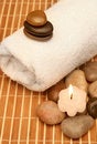 Free Spa Treatment Products Royalty Free Stock Images - 4423859