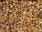 Free Fire Wood Stock Photography - 4423602