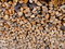 Free Fire Wood Royalty Free Stock Images - 4423779