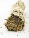 Free Twig Royalty Free Stock Photography - 4434337