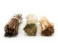 Free Twig Royalty Free Stock Photos - 4434338