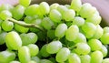 Free Green Grapes Stock Images - 4435714