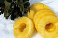 Free Pineapple Slices Stock Photo - 4436500