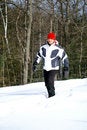 Free Winter Walk Stock Image - 4447241