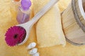 Free Spa Sauna Relax Stock Images - 4448354