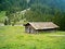 Free Pale San Martino Group Stock Images - 4445984