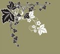 Free Floral Frame Royalty Free Stock Images - 4450579