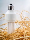 Free Low Energy Bulb Stock Images - 4460674