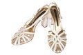 Free Fashionable Female Shoes Royalty Free Stock Photography - 4462537
