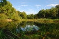Free View Of Lake And Forest Stock Images - 4464504