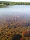 Free Bottom Of The Sea Stock Photo - 4466720