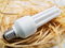 Free Low Energy Bulb Royalty Free Stock Photo - 4460675