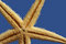 Free Close Up Of Starfish Royalty Free Stock Photography - 4468297
